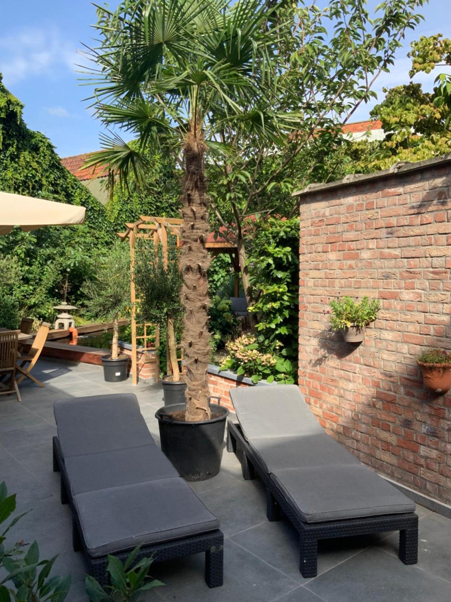 Freetimeflat Mies & Fien Apartamento Gante Exterior foto